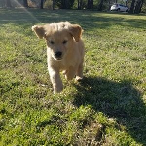 Meet your Posher, Skyler